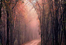 冰天雪地也是欢天喜地——“尔滨”过大年迎“亚冬”新华社.