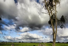 东升国际：[网球]张之臻、布云朝克特均获胜晋级.