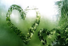 东升国际:乒乓球印度赛:女单八强诞生!日韩各占三席,早田希娜2-0被逆转.