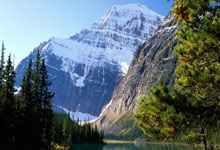 后防没人了,记者:德甲规则不允许拜仁现阶段签自由球员应急.